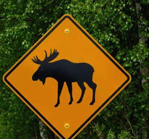 moose-sign-dscf1967.jpg